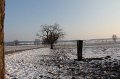 Winterweide 11-12 (102)